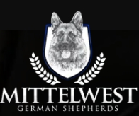 Reliable GSD Breeder Unveils New German Shepherd Puppies In Wonder Lake, IL